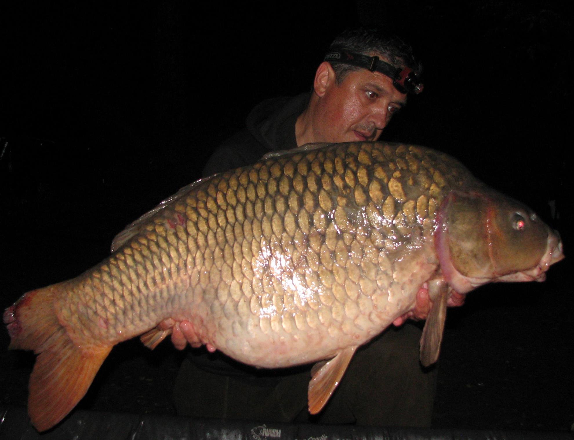 Pelagicevo Jezero - final iunie 2015 - img2242.JPG